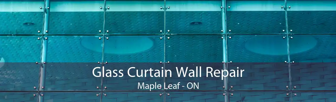 Glass Curtain Wall Repair Maple Leaf - ON