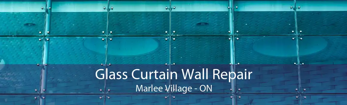 Glass Curtain Wall Repair Marlee Village - ON